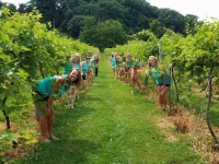 teal-girls