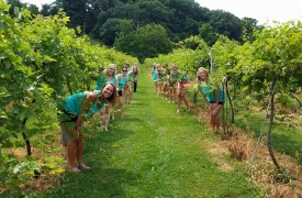 teal-girls
