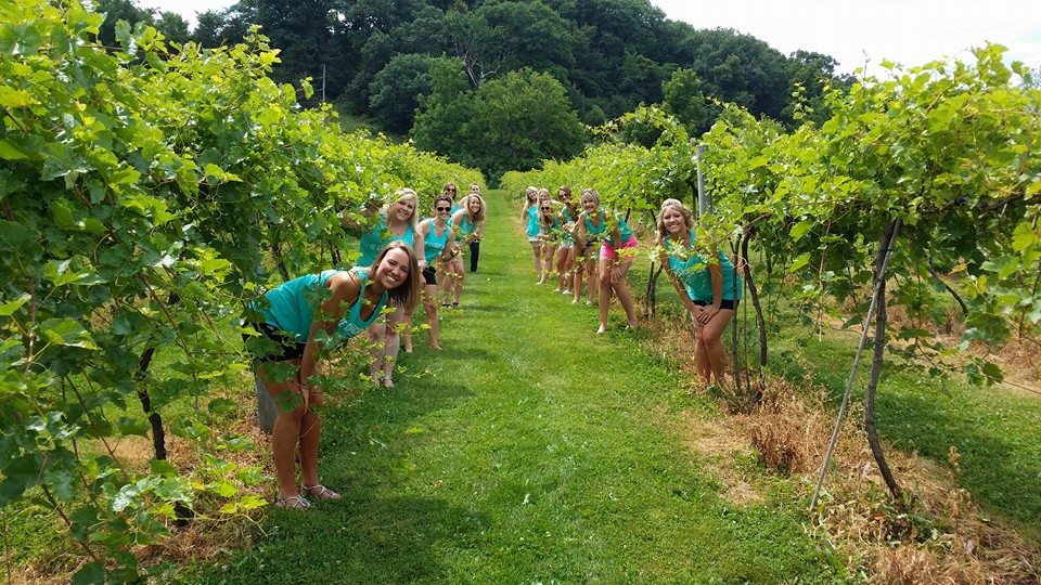 Wine Tasting Tours